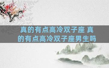 真的有点高冷双子座 真的有点高冷双子座男生吗